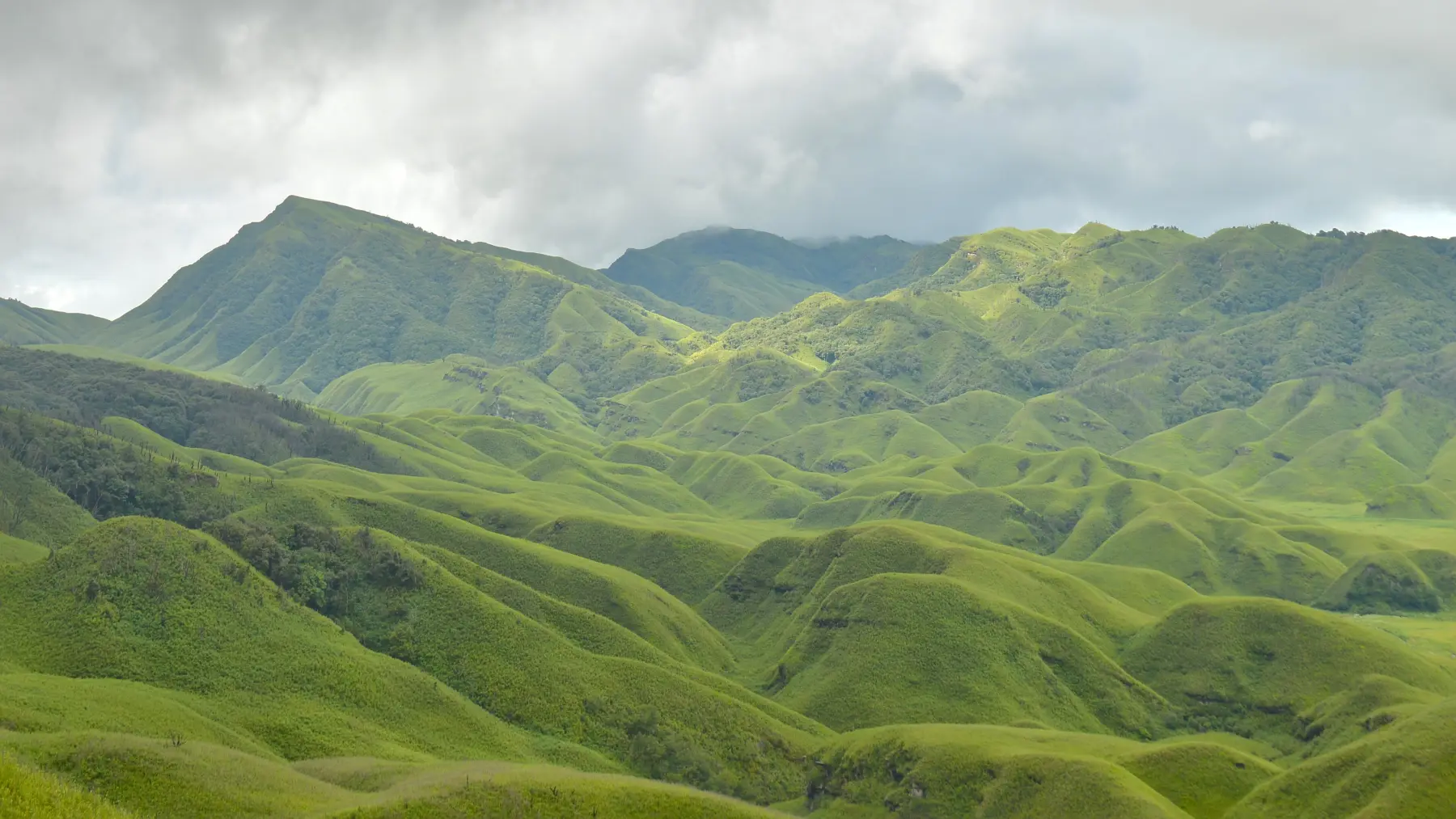 Rolling hills of Dzükou Valley
