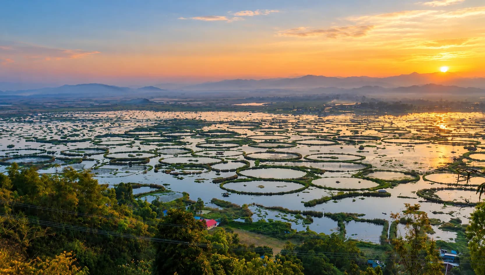 Phumdis on Loktak Lake, Bishnupur