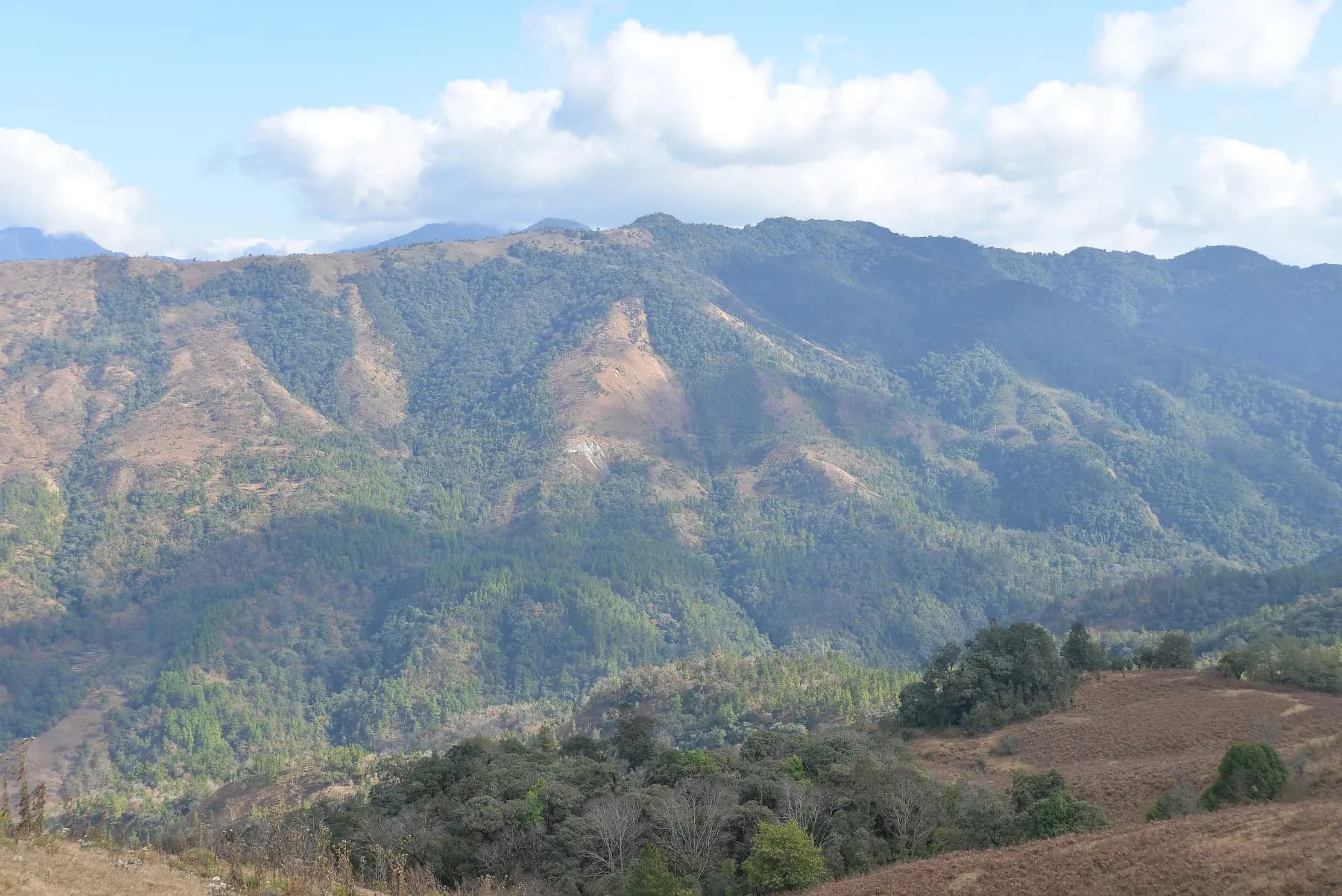 Phangrei hills, Ukhrul